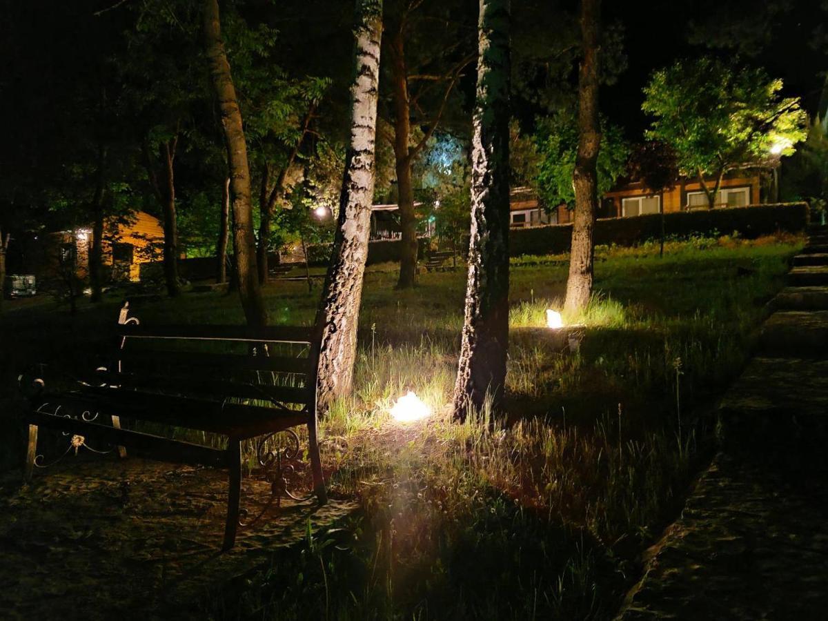 Воллен Zhvanets Extérieur photo