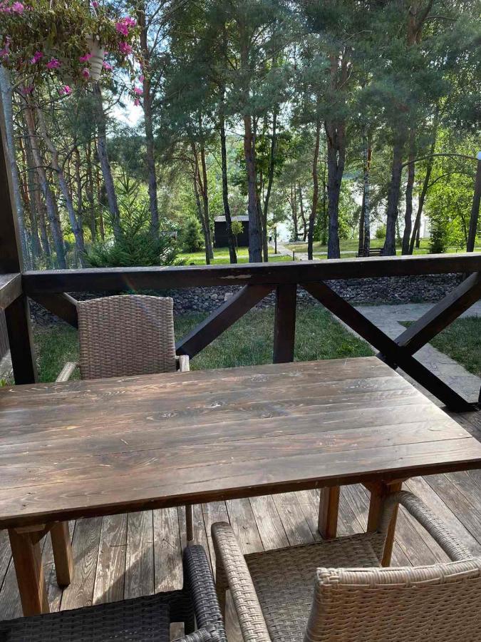 Воллен Zhvanets Extérieur photo