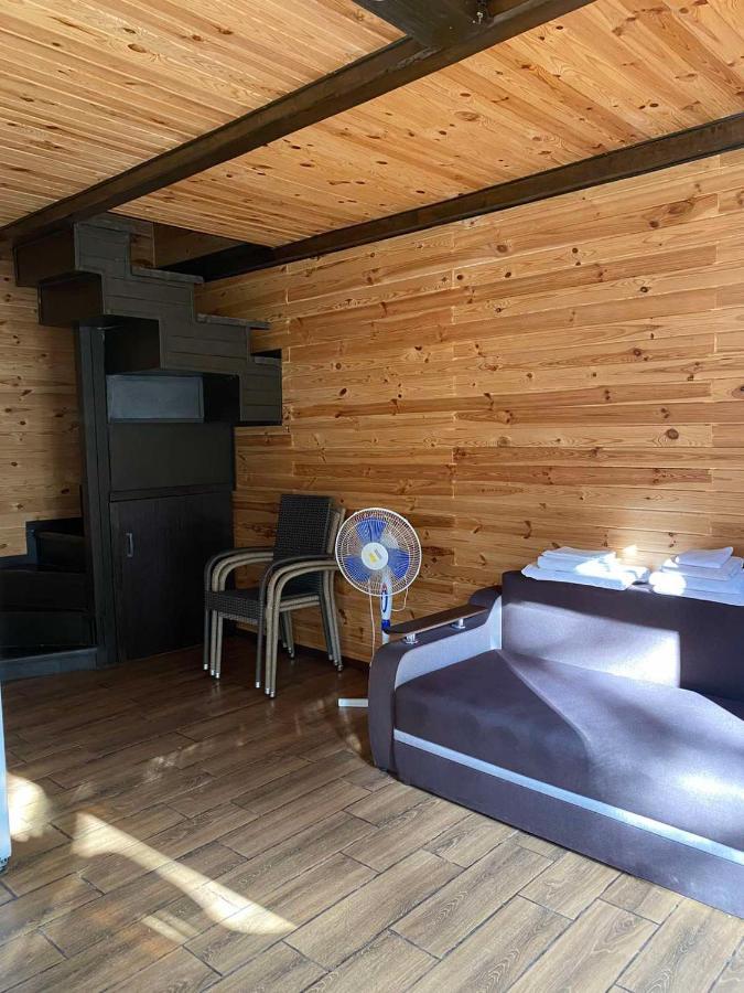 Воллен Zhvanets Extérieur photo