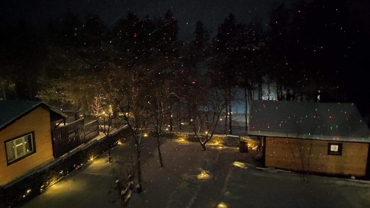 Воллен Zhvanets Extérieur photo